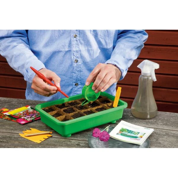 Opkweek Kit Romberg 4 Opkweek Kit Romberg - Afbeelding 2