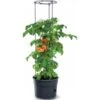 Tomaten Kweekpot Met Groeisteun - 12 Liter -Buitentuinwinkel 1649410567 1 600