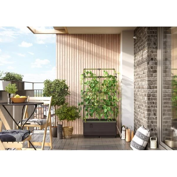 Kweekbak City Jungle Basic Met Klimframe 5 Kweekbak City Jungle Basic Met Klimframe - Afbeelding 3