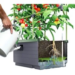 Kweekbak City Jungle Basic Met Klimframe 11 Kweekbak City Jungle Basic Met Klimframe -Buitentuinwinkel 1677572003 2 600