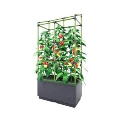 Kweekbak City Jungle Basic Met Klimframe 9 Kweekbak City Jungle Basic Met Klimframe -Buitentuinwinkel 1677572003 3 600
