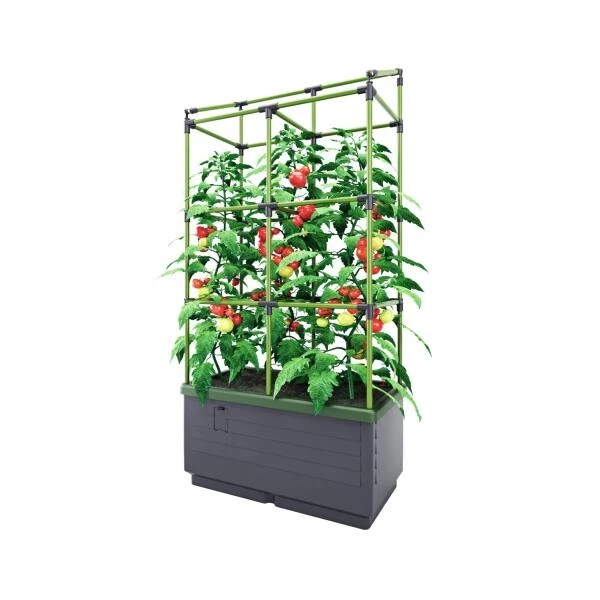 Kweekbak City Jungle Basic Met Klimframe 4 Kweekbak City Jungle Basic Met Klimframe - Afbeelding 2