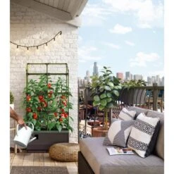 Kweekbak City Jungle Basic Met Klimframe 12 Kweekbak City Jungle Basic Met Klimframe -Buitentuinwinkel 1677572004 4 600