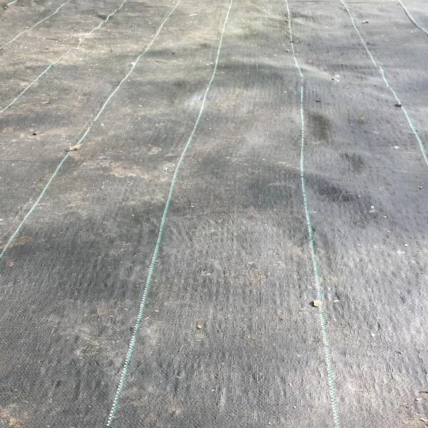 Gronddoek - Onkruidwerend 4 M × 5 M 4 Gronddoek - Onkruidwerend 4 M × 5 M - Afbeelding 2