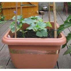 Anti-slakken Kopertape 4 M 10 Anti-slakken Kopertape 4 M -Buitentuinwinkel antislakken kopertape 1484052941 3 600