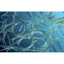 Aquanemix 1.25 V - Doseersproeier Voor Aaltjes -Buitentuinwinkel auquanemix 125 v doseersproeier 1497858309 1 600