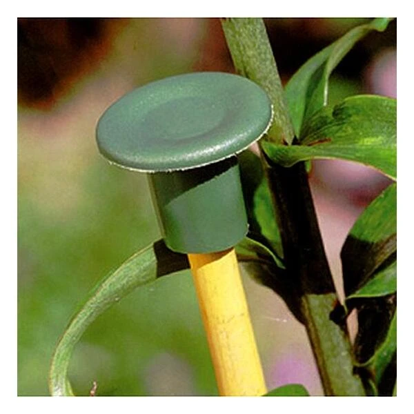 Flexibele Bamboestokdopjes - Set Van 10 Stuks 3 Flexibele Bamboestokdopjes - Set Van 10 Stuks