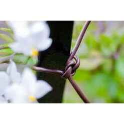 Bindbuis Elastisch Ø 2,5 Mm - Bruin 40 M -Buitentuinwinkel bindbuis bruin 135 g 1484066131 2 600