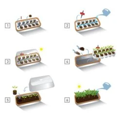 Binnenkas BoQube Plus Met Groelicht - 41 × 17 × 23 Cm -Buitentuinwinkel binnenkas boqube plus 41x17x23 cm 1653470738 1 600