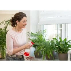 Birchmeier Foxy Plus -Buitentuinwinkel birchmeier foxy plus 1496510253 2 600