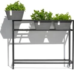 ECOPOTS Berlin Kruidentafel - Grijs 100 X 80 X 36 Cm -Buitentuinwinkel ecopots berlin kruidentafel grijs 1600852112 2 600