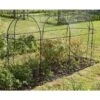 Fruitkooi Lang 3 × 1 × 1,5 M -Buitentuinwinkel fruitkooi 3 x 1 x 15m 1484054956 1 600