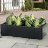 Groeibed 97,5 × 50 × 25 Cm 2 Groeibed 97,5 × 50 × 25 Cm -Buitentuinwinkel groeibed 975 x 50 x 25 cm 1484055485 1 600