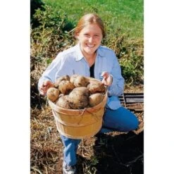 Groeibed Vierkant Kunststof - 97,5 × 97,5 × 25 Cm -Buitentuinwinkel groeibed 975 x 975 x 25 cm 1490036317 1 600