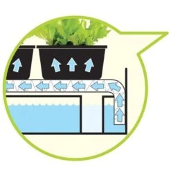 Groeilicht Met Kweekset - Zwart -Buitentuinwinkel groeilicht met kweekset zwart 1484063021 3 600