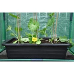 Kweekbak 40 Liter -Buitentuinwinkel grote kweekbak 40 liter 1484056513 5 600