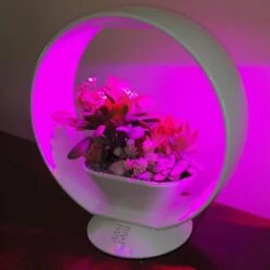 Mini Tuin Jardin Secret Met Verlichting En Bluetooth - Rond -Buitentuinwinkel jardin secret met bluetooth rond 1602065218 3 600