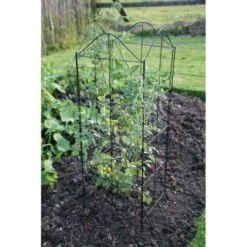Klimplantensteun - Moduleerbare Steunpanelen -Buitentuinwinkel klimplantensteun rekken 1549797641 3 600