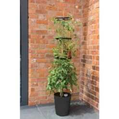 Tomatentoren 150 Cm Met Bewateringssysteem - Grijs -Buitentuinwinkel klimplantentoren met bewateringssysteem 1519073384 2 600