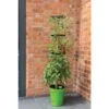 Klimplantentoren 150 Cm Met Bewateringssysteem - Groen -Buitentuinwinkel klimplantentoren met bewateringssysteem 1519073626 1 600