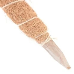 Kokos Kamerplantensteun - Plantstok Ø45 Mm × 1 M 9 Kokos Kamerplantensteun - Plantstok Ø45 Mm × 1 M -Buitentuinwinkel kokos plantensteun 45 mm x 1 m 1622717806 4 600