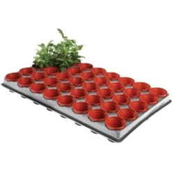 Tray Met 40 Kweekpotjes 6 Cm -Buitentuinwinkel kweektray 40 potjes 6 cm 1599819541 1 600