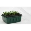 Kweektray Compact Rapid Root - 20 Cellen -Buitentuinwinkel kweektray rapid root 20 cellen 1487670094 0 600