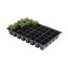 Kweektrays 40 Cellen - Professioneel - Set Van 5 Stuks -Buitentuinwinkel kweektrays 40 cellen professioneel 1497949475 1 600