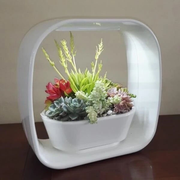 Mini Tuin 'Jardin Secret' - Ledverlichting 4 Mini Tuin 'Jardin Secret' - Ledverlichting - Afbeelding 2