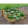 Moestuin Trapvorm 100 × 100 × 40 Cm -Buitentuinwinkel moestuintrap 100 x 100 x 40 cm 1556661692 1 600