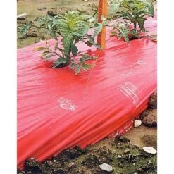 Rode Folie Voor Een Betere Plantengroei 9 Rode Folie Voor Een Betere Plantengroei -Buitentuinwinkel mulchfolie 1577621345 1 600