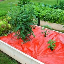 Rode Folie Voor Een Betere Plantengroei 11 Rode Folie Voor Een Betere Plantengroei -Buitentuinwinkel mulchfolie 1577621986 1 600