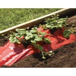 Rode Folie Voor Een Betere Plantengroei 10 Rode Folie Voor Een Betere Plantengroei -Buitentuinwinkel mulchfolie rood aardbeien en tomaten 1492072043 1 600