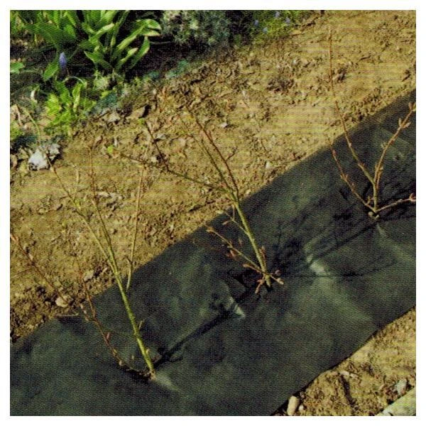 Hagenvlies - Onkruidbeschermvlies 25 × 0,5 M 3 Hagenvlies - Onkruidbeschermvlies 25 × 0,5 M