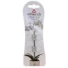 Orchideeenclips Transparant - Set Van 2 Stuks -Buitentuinwinkel orchideenclips transparant 1619781359 1 600