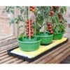 Plant- En Gietpot Groen - Set Van 3 Stuks -Buitentuinwinkel plant en gietpot 1484054799 1 600