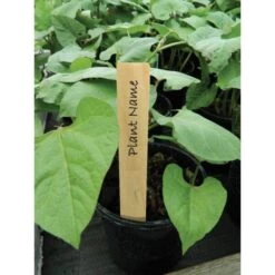 Plantenlabels Hout - 10 Cm - Set Van 10 Stuks -Buitentuinwinkel plantenlabels hout 10 cm 1608553933 2 600