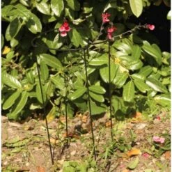 Plantensteun Rond 20 × 50 Cm 5 Plantensteun Rond 20 × 50 Cm -Buitentuinwinkel plantensteun rond 20 x 50 cm 1518783450 1 600