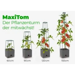 Plantentoren Maxitom Met Waterreservoir - Antraciet -Buitentuinwinkel plantentoren maxitom antraciet 1677571236 4 600