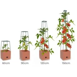 Plantentoren Maxitom Met Waterreservoir - Terracotta -Buitentuinwinkel plantentoren maxitom terracotta 1680165024 1 600