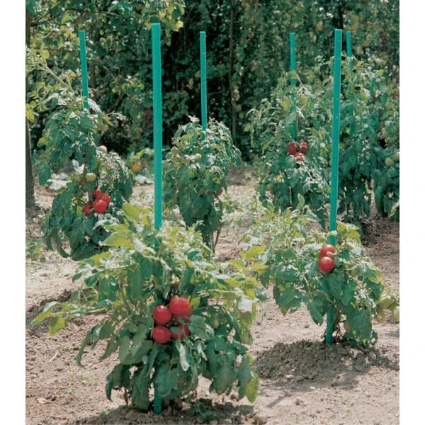 Plantensteun Voor Tomaten Met Waterreserve - 150 Cm 3 Plantensteun Voor Tomaten Met Waterreserve - 150 Cm
