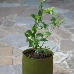 Plantzakken 5 Liter Vigoroot - Set Van 3 Stuks -Buitentuinwinkel plantzakken 5 liter vigoroot 1487757667 0 600