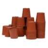 Kweekpotjes Rond Kunststof - 6 Cm - Set Van 40 Stuks -Buitentuinwinkel plastic potjes 6 cm 1484055450 1 600