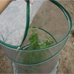 Pop-up Serre - Ø 70 × 110 Cm 7 Pop-up Serre - Ø 70 × 110 Cm -Buitentuinwinkel popup plantenbescherming 70 x 110 cm 1499243666 2 600