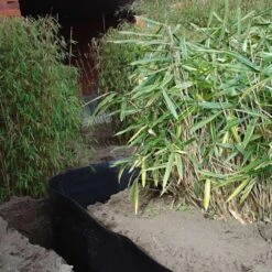 Rootblock Professionele Wortelwering 60 Cm Hoog - / Strekkende Meter 9 Rootblock Professionele Wortelwering 60 Cm Hoog - / Strekkende Meter -Buitentuinwinkel rootblock professionele wortelwering 1552733360 3 600