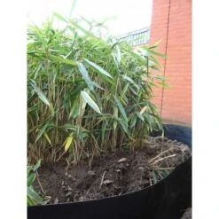 Rootblock Professionele Wortelwering 60 Cm Hoog - / Strekkende Meter 11 Rootblock Professionele Wortelwering 60 Cm Hoog - / Strekkende Meter -Buitentuinwinkel rootblock professionele wortelwering 1552733360 5 600