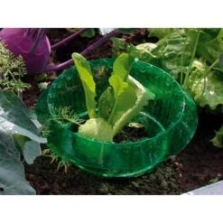 Slakken Beschermringen - Set Van 6 Stuks -Buitentuinwinkel slakken beschermingsringen 1484053655 3 600