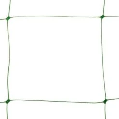 Klimgaas Erwten En Bonen 2m × 10 M -Buitentuinwinkel steungaas klimgaas 2 x 10 meter 1484065488 1 600