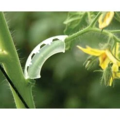 Tomaten Trossteun Wit - Set Van 100 Stuks 9 Tomaten Trossteun Wit - Set Van 100 Stuks -Buitentuinwinkel tomatentrossteunen 1484056718 2 600