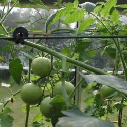 Tree-fix Boombinder 8 Cm - Set Van 50 Stuks -Buitentuinwinkel treefix boombinder 8 cm 1547125995 3 600